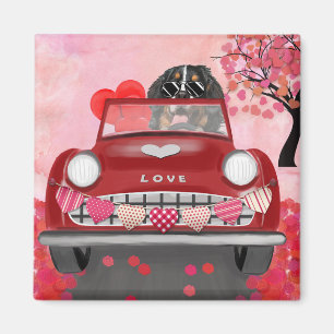 Bernese Mountain Driving Car with Hearts Valentine Magnet