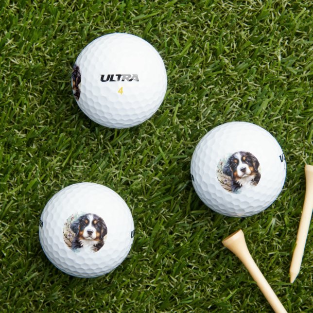 Bernese Mountain Hund AI Welppy Golfball (Insitu Gras)