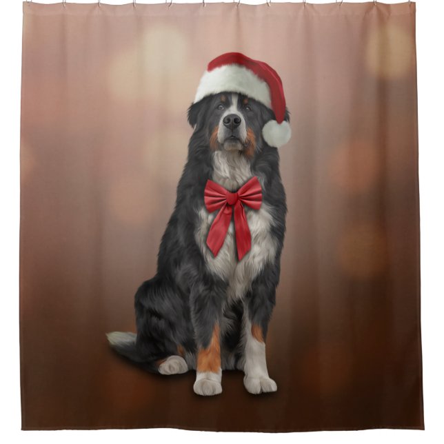 Bernese Mountain Hund in rotem Hut des Weihnachtsm Duschvorhang (Vorderseite)