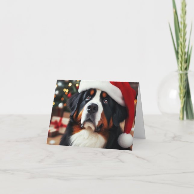 Bernese Mountain Hund in Weihnachtsmannmütze Frohe Dankeskarte (Vorderseite)