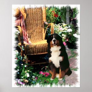 Bernese Mountain Hund Kunstdruckerei Poster