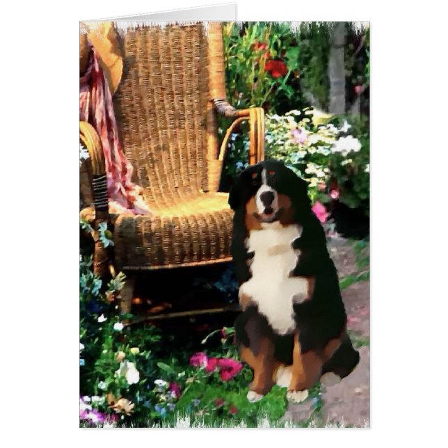 Bernese Mountain Hund Kunstgifte (Vorne)