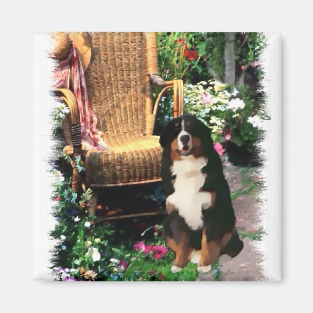 Bernese Mountain Hund Kunstgifte Magnet (Vorne)