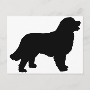 Bernese Mountain Hund (schwarze Silhouette) Postkarte