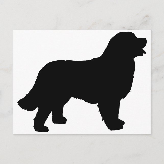 Bernese Mountain Hund (schwarze Silhouette) Postkarte (Vorderseite)