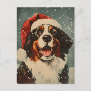 Bernese Mountain Hund Weihnachten Postkarte