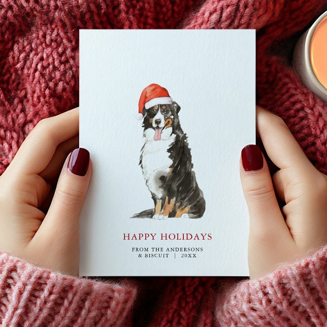 Bernese Mountain Hund Weihnachtsmannmütze Weihnach Ankündigung (Bernese Mountain Dog Santa Hat Christmas Card)