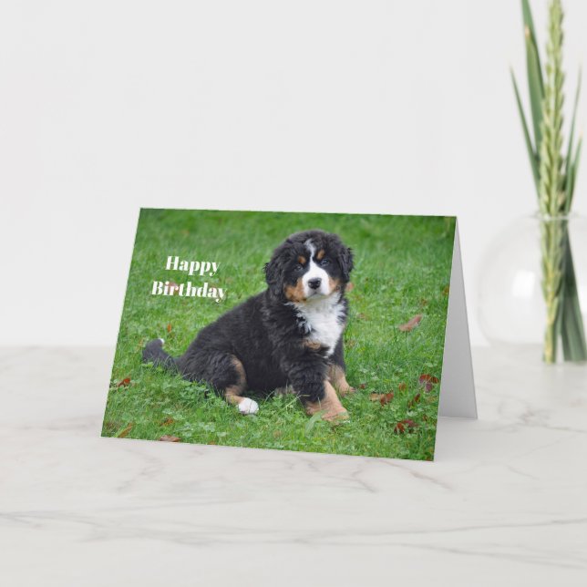 Bernese Mountain Hund Welpe Foto Geburtstag Karte (Vorderseite)