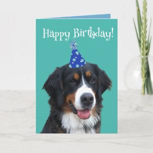 Bernese Mountain Hund Welpe Geburtstag Karte