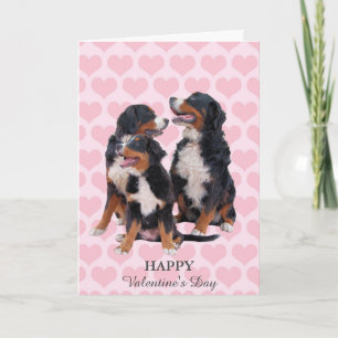 Bernese Mountain Hunde Herz Valentinstag Card Feiertagskarte
