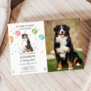 Bernese Mountain Pawty Welppy Birthday Pink Foto Einladung