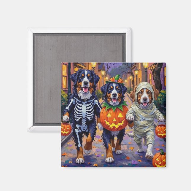 Bernese Mountain Trick oder Treating zu Halloween Magnet (Vorderseite/Rückseite)