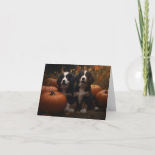 Bernese Mountain Welpe Herbst Kürbiskugel Karte