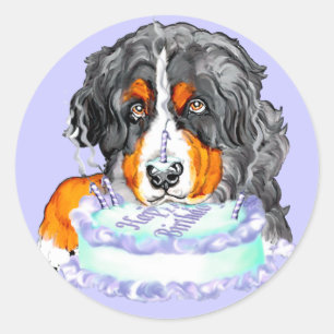 Bernese Mt Dog Cake Face Birthday Runder Aufkleber