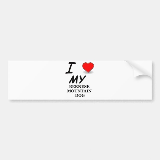 Bernese mt dog Liebe Autoaufkleber (Vorne)
