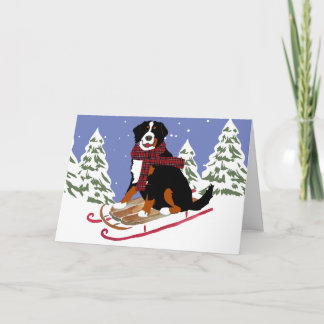 Bernese Mt Dog Sled Feiertagskarte