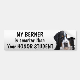 Bernese Mt Hund - intelligenter als Student - Autoaufkleber