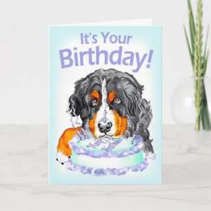 Bernese Mt Hundekuchen-Gesichts-Geburtstag Karte