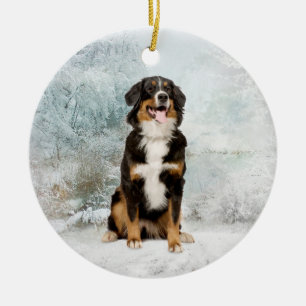 Bernese Mt. Hundeverzierung Keramik Ornament