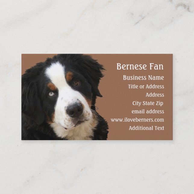 Bernese Mtn Dog Business Card - "Lucy" Visitenkarte (Vorderseite)