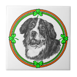 Bernese Mtn Dog St Patricks Fliese