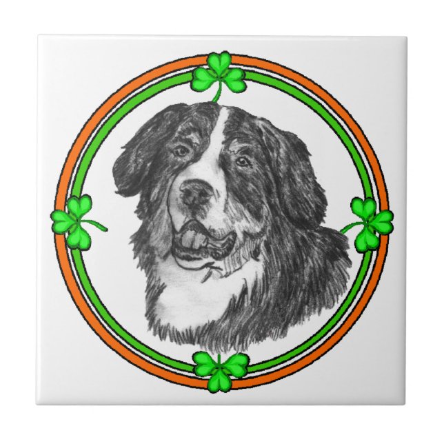 Bernese Mtn Dog St Patricks Fliese (Vorderseite)