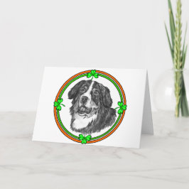Bernese Mtn Dog St Patricks Karte