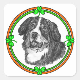 Bernese Mtn Dog St Patricks Quadratischer Aufkleber