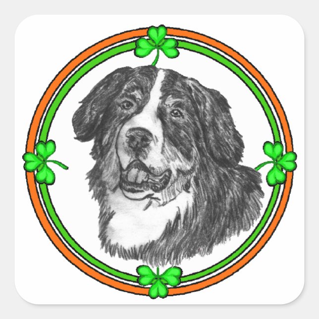 Bernese Mtn Dog St Patricks Quadratischer Aufkleber (Vorderseite)