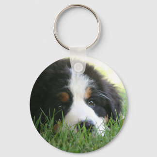 Bernese Puppy Schlüsselanhänger