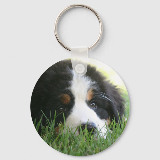 Bernese Puppy Schlüsselanhänger (Vorderseite)