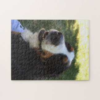Bernese Puzzlespiel Puzzle
