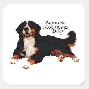 BERNESE QUADRATISCHER AUFKLEBER
