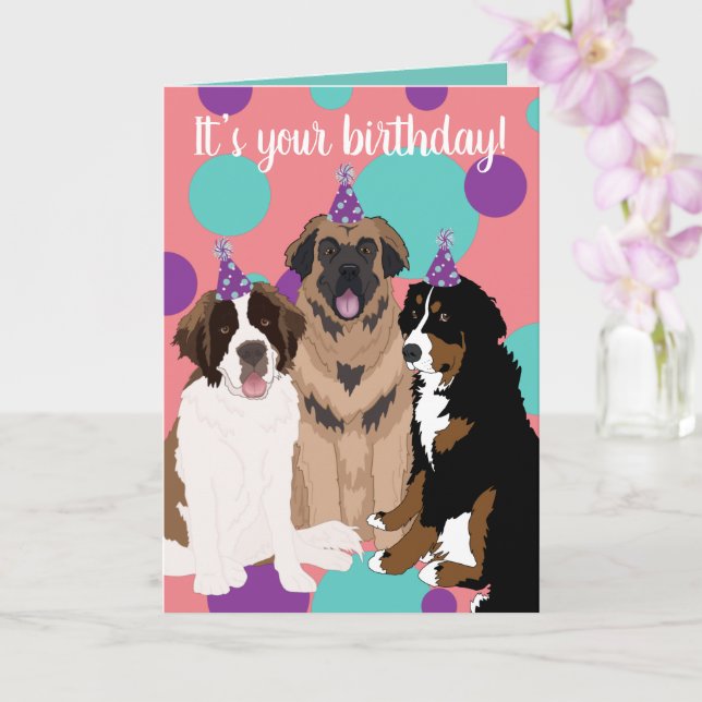 Bernese, Saint Bernard, Leonberger Geburtstag Karte (Orchidee)