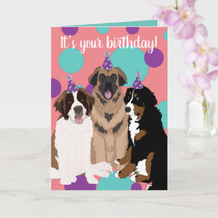 Bernese, Saint Bernard, Leonberger Geburtstag Karte