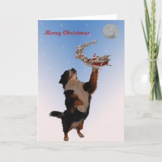 Bernese Sitzung Weihnachten