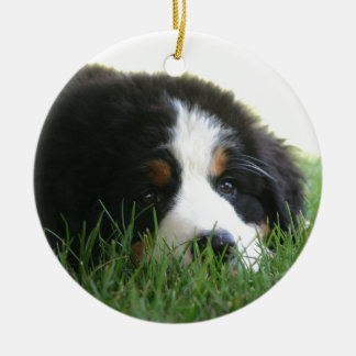 Bernese Welpe Keramik Ornament
