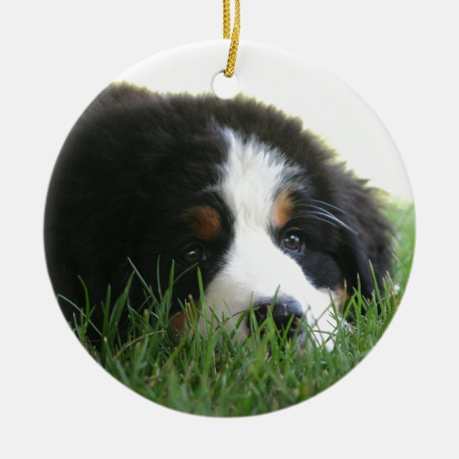 Bernese Welpe Keramik Ornament (Vorne)
