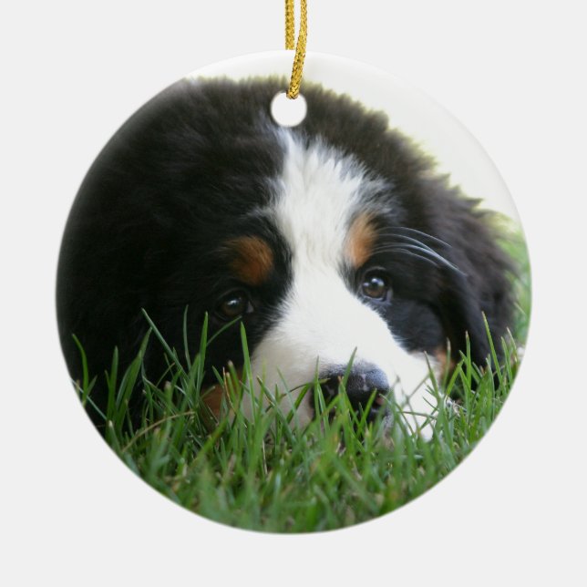 Bernese Welpe Keramik Ornament (Vorne)