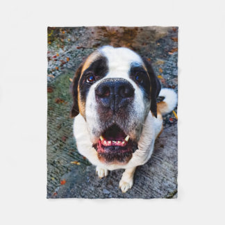 Bernhadiner  fleecedecke