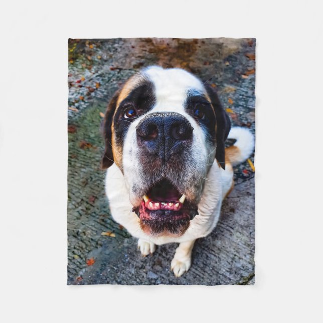 Bernhadiner  fleecedecke (Vorderseite)