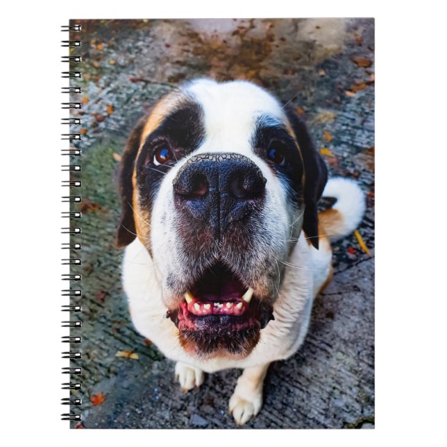 Bernhadiner  notizblock (Vorderseite)