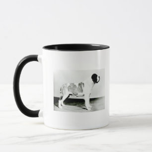 Bernhardiner-Hund Tasse