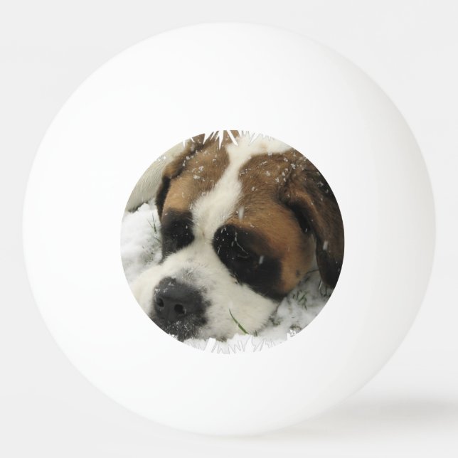 Bernhardiner-Hund Tischtennisball (Vorderseite)