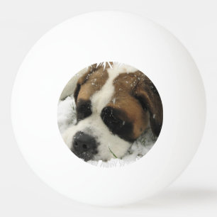 Bernhardiner-Hund Tischtennisball