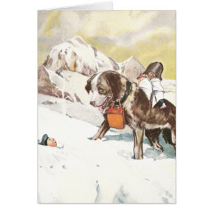 Bernhardiner-Hund zur Rettung