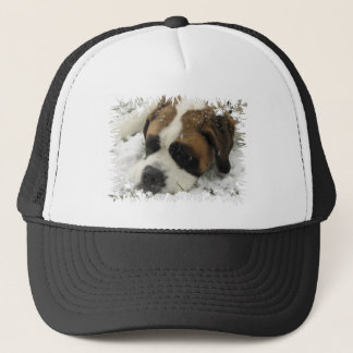 Bernhardiner-HundeBaseball-Mütze Truckerkappe