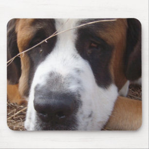 Bernhardiner-Hundemausunterlage Mousepad