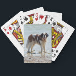Bernhardiner-Hundeschönes Foto auf Strand Spielkarten<br><div class="desc">Schönes Foto eines Bernhardiner-Hundes auf den Spielkarten des Strandes.  große Geschenkidee</div>