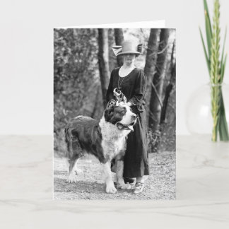 Bernhardiner u. Boston Terrier, 1925 Karte